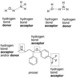111_hydrogen bonding imp.jpg